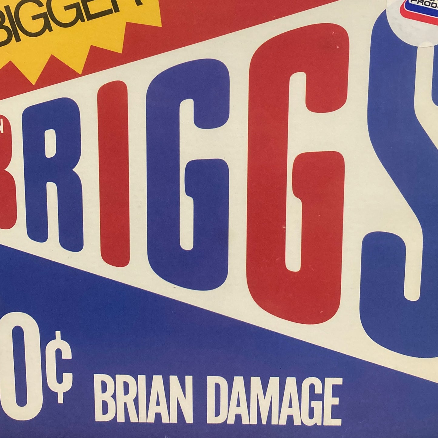 Brian Briggs - Brian Damage