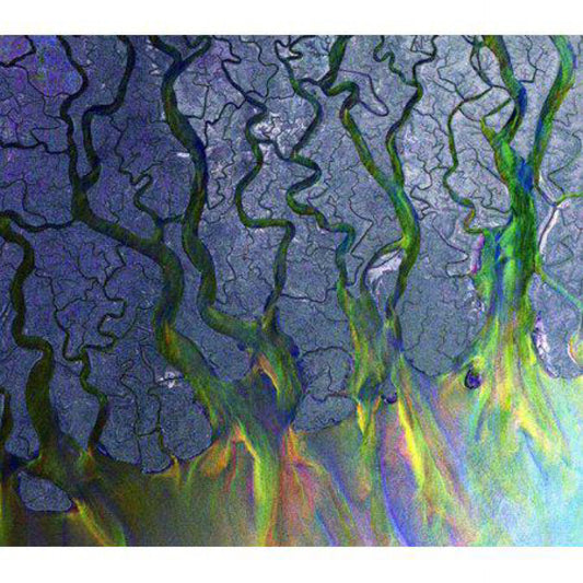 ALT-J - An Awesome Wave  [CD]