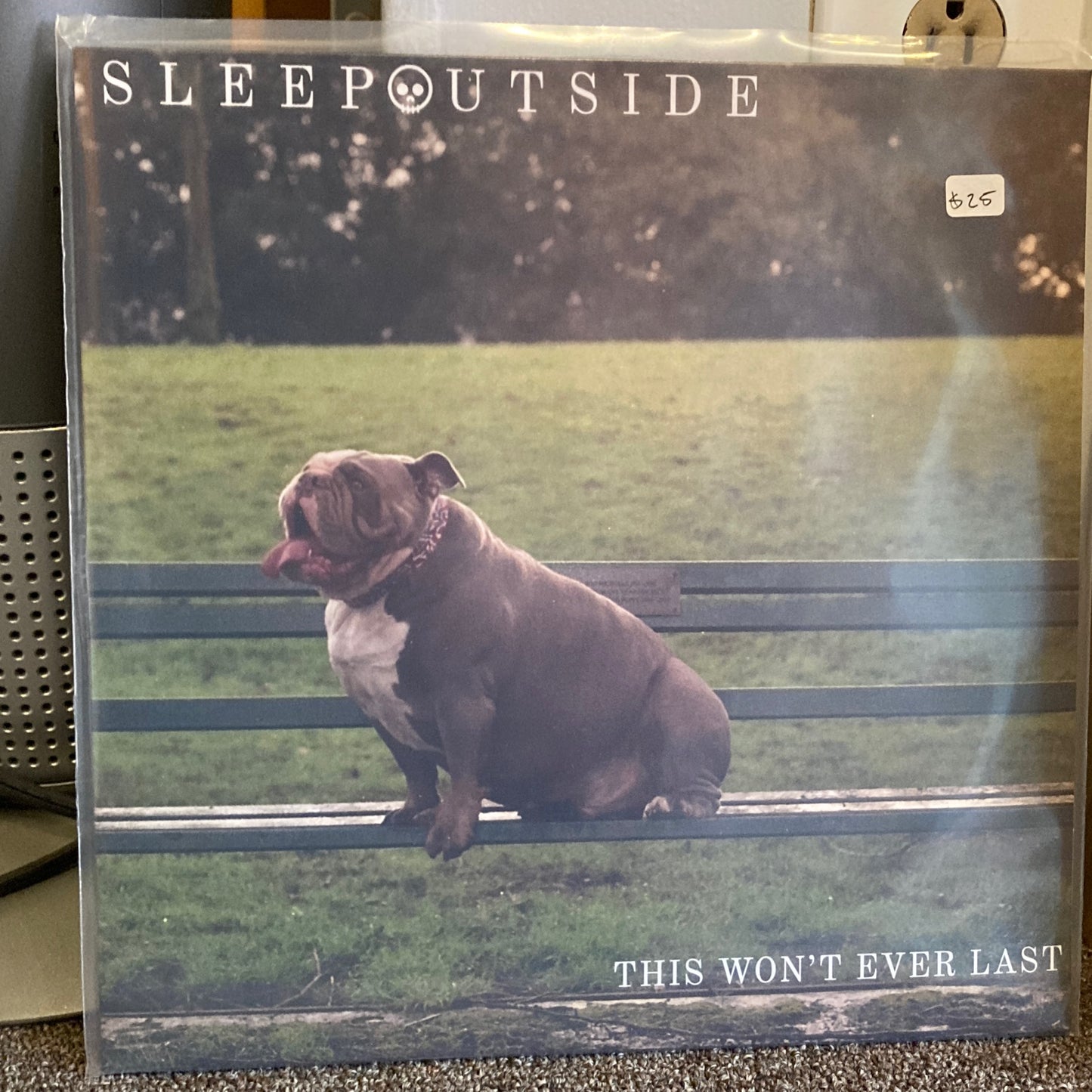 Sleep Outside - This Won't Ever Last